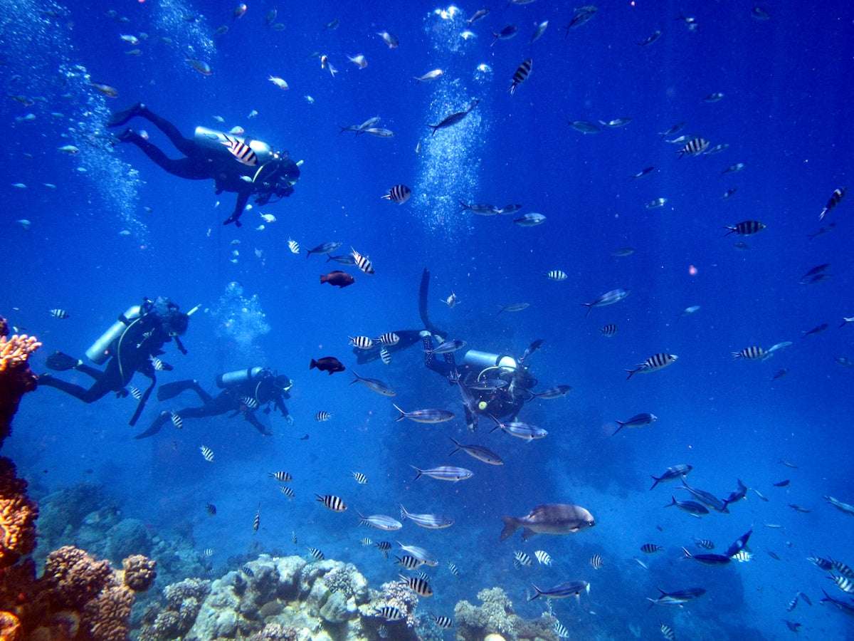 Vantaggi degli Orologi Divers: Perché Navigare nel Nuovo Trend