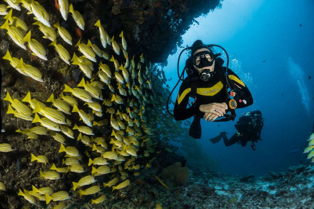 Una Guida all'Acquisto di Orologi Divers senza Tempo OASI WATCH