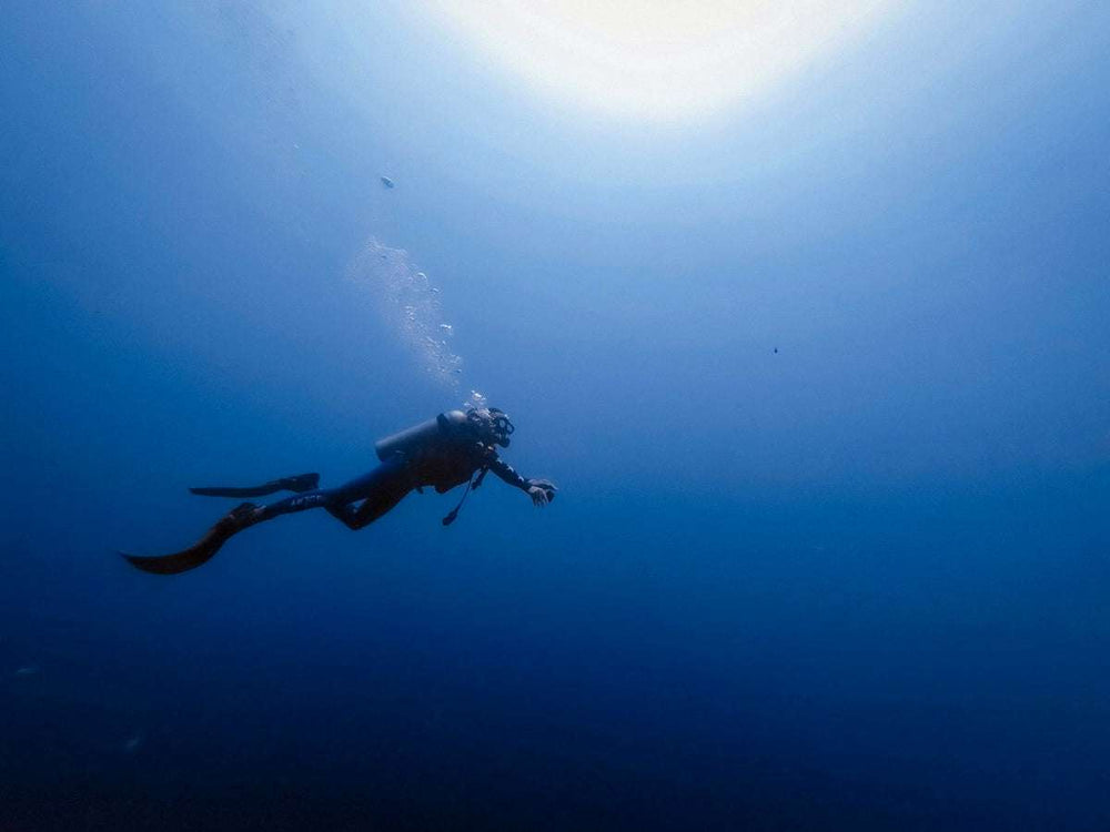 Orologi Divers: Storia ed Evoluzione dei Modelli Subacquei